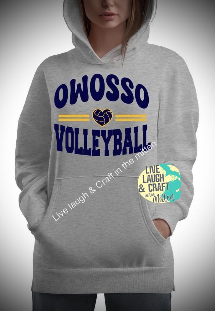 Owosso Heart Volleyball